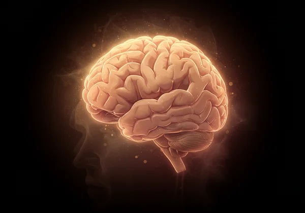 Brain struggling with tasks, symbolizing executive dysfunction